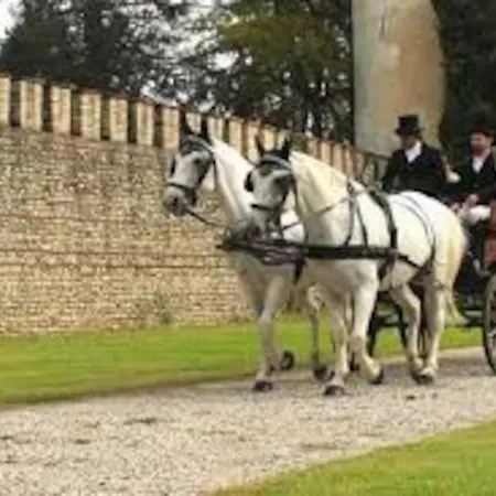 Torre Del Grifone Nel Medioevo Di Cividale Del Friuli