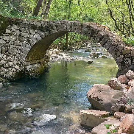 Torre Del Grifone Nel Medioevo Di Cividale Del Friuli *