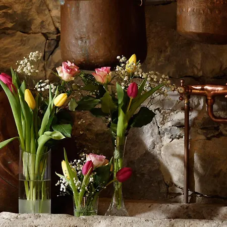 Torre Del Grifone Nel Medioevo Di Cividale Del Friuli 度假居 Faedis