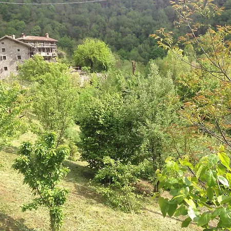 Torre Del Grifone Nel Medioevo Di Cividale Del Friuli