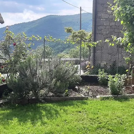 Torre Del Grifone Nel Medioevo Di Cividale Del Friuli